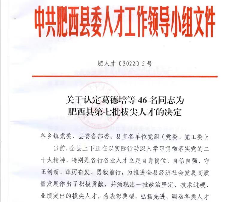 深藍醫(yī)療總經(jīng)理榮獲“肥西縣第七批拔尖人才”榮譽稱號