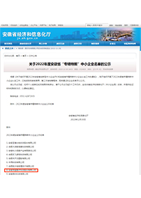 安徽省專(zhuān)精特新中小企業(yè)
