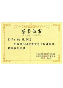 柏堰科技園優(yōu)秀黨務(wù)工作者