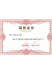 2021年合肥市經(jīng)濟(jì)高質(zhì)量發(fā)展貢獻(xiàn)獎(jiǎng)先進(jìn)個(gè)人